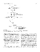 Bhagavan Medical Biochemistry 2001, page 806